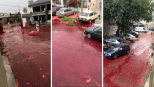Un barrio argentino es inundado de unos 500.000 litros de sangre animal tras reventarse un tanque de un matadero