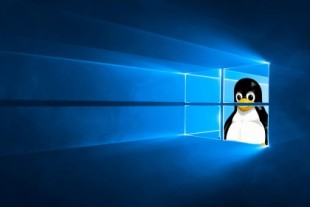 Windows 10 20H1: llegó el día en que Linux es la característica más importante de una nueva versión de Windows