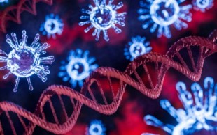 Desbloqueo del 'modelo' de coronavirus: los científicos de CSIRO descifran los códigos genéticos del virus SARS-CoV-2[i