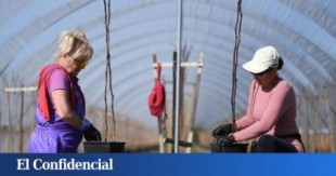 Españoles que no han pisado un huerto, al rescate del campo: "Veremos si aguantan"