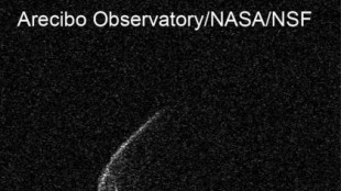 Un asteroide con forma de mascarilla se acercará a la Tierra a finales de abril