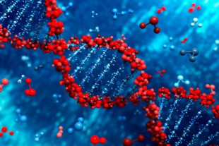 El CSIC lanza un estudio genético para identificar el riesgo individual de desarrollar formas graves de Covid-19