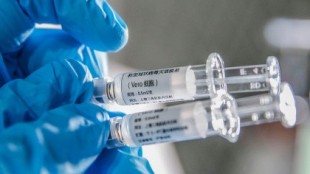 Vacuna para el covid-19 probada con éxito en monos (eng)