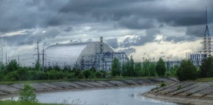 Visitamos la fauna de Chernóbil 33 años después del accidente nuclear