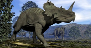 Un equipo de paleontólogos asegura haber encontrado ADN de dinosaurio
