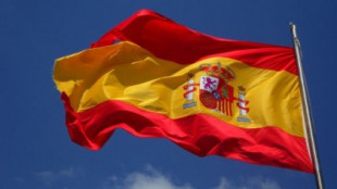 Multas por llevar la bandera de España en el coche: el enésimo bulo de Girauta y la extrema derecha