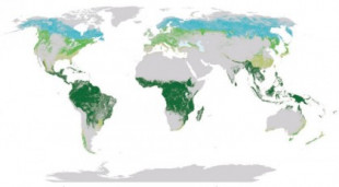 El planeta pierde en tres décadas 178 millones de hectáreas de bosque