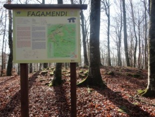 Una empresa de trabajos forestales destroza el dolmen catalogado y señalizado de Fagamendi (Navarra)