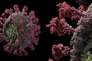 El virus SARS-CoV-2, como nunca antes lo habíamos visto: éste es el modelo 3D más detallado obtenido hasta ahora