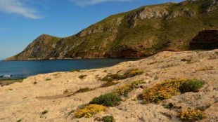 La Comunidad ejerce el derecho de retracto para comprar los terrenos de Cabo Cope adquiridos por ANSE