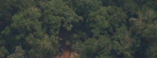 La deforestación en la Amazonía brasileña crece un 171 % en abril