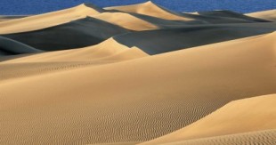 Las dunas de Maspalomas recuperan su esplendor: ¡no se habían visto así de bonitas en los últimos 50 años!