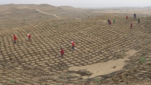 Un desierto en China se ha convertido en un oasis en 60 años