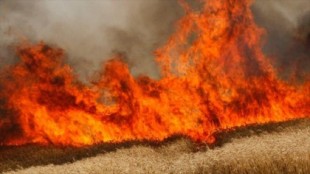 Helicópteros de EEUU queman 20 hectáreas de trigo de Siria