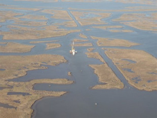 Estudio muestra las marismas del delta del Mississippi en un estado de colapso irreversible (ENG)