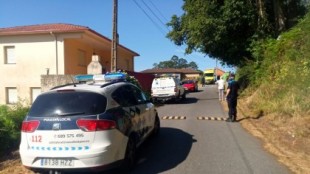 Fallece un vecino en Pontevedra por picaduras de velutina