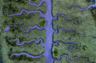 A fascinante imaxe aérea da ría de Betanzos