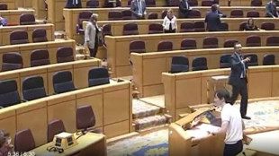 El PP abandona el pleno después de que un senador de Más Madrid diga que gobiernan "con fascistas"