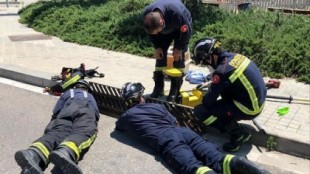 Los bomberos rescatan nueve patitos en una cloaca de Barcelona