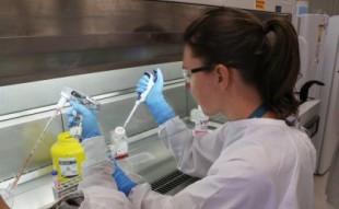 Un equipo de científicos de Florida descubre una mutación que hace más eficaz al covid-19