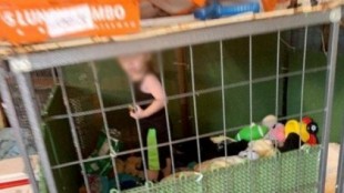 Rescatan a un niño de 18 meses que vivía en una jaula rodeado de más de 600 animales en EE.UU