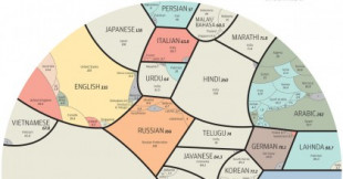 Esta infografía divide el mundo según los idiomas más hablados