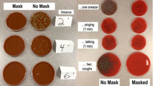 Este sencillo experimento demuestra la importancia de las mascarillas para frenar al coronavirus