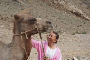 Un camello camina 100 km para volver con su antiguo dueño tras ser vendido (en)