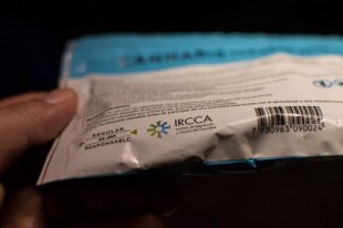 A tres años del comienzo de la venta de marihuana en farmacias en Uruguay
