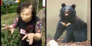 Una anciana de 82 años noquea a un oso negro que le atacó en su jardín