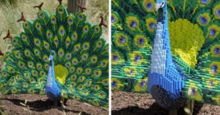 Este zoo recrea animales salvajes con réplicas hechas con más de tres millones de piezas de Lego (ENG)