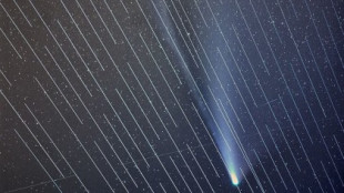 Los satélites de SpaceX arruinan una foto del cometa Neowise