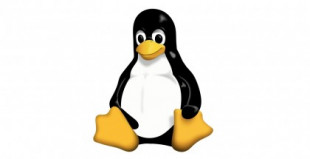 Proponen bloquear los controladores que proporcionan acceso a llamadas GPL al kernel Linux