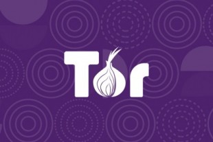Tor: alguien controla más del 10% de los nodos de salida
