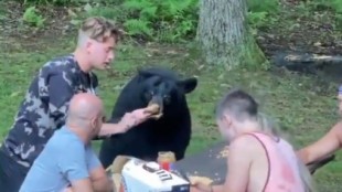 Un enorme oso se sienta a merendar con una familia y acaban preparándole un sándwich de crema de cacahuete