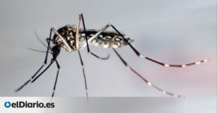 Caballos y mosquitos: el virus del valle del Guadalquivir