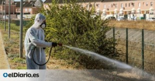 Ascienden a 25 los ingresos por los casos de virus del Nilo en Sevilla