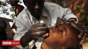 Declaran África libre de polio (ENG)