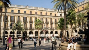 Muere un hombre tras caerle encima una palmera en Barcelona