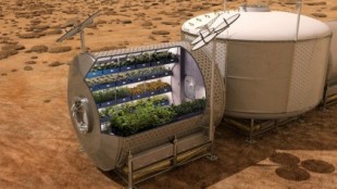 ¿Es el suelo marciano apto para la agricultura?