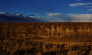 Los árboles fósiles en la meseta andina cuentan una historia de cambio ambiental dramático (ENG)