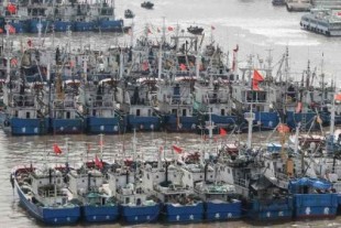 La enorme flota pesquera de China está transformando los océanos del mundo