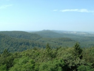 El Desastre de Varo en el Bosque de Teutoburgo, año 9 d.C