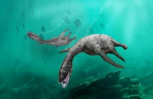 Descubren dos géneros de plesiosaurios que habitaron el norte de Chile hace 160 millones de años