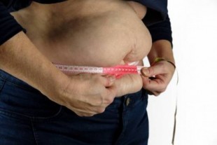 Así regula la obesidad el metabolismo de las células inmunitarias
