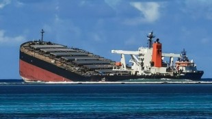Descubren el motivo (ridículo) del desastre del barco Wakashio en isla Mauricio
