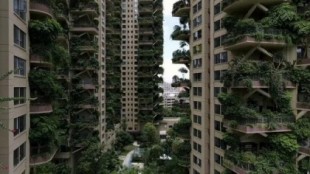 Los "bosques verticales" de China se convierten en una jungla infestada de mosquitos (en)