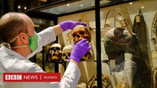 La colección de cabezas humanas que fue retirada de un museo de la Universidad de Oxford