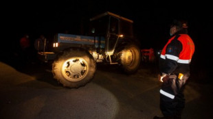 Muere un hombre de 69 años en A Laracha por un ataque de velutinas