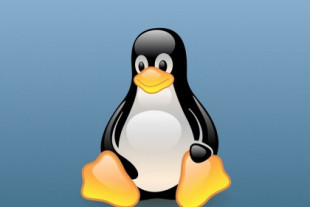 «Linux está obsoleto», la historia detrás de la declaración que provocó el debate más apasionante acerca de este sistema